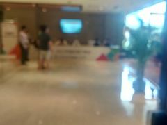 -上海龙之梦万丽酒店