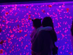 -多彩贵州城极地海洋世界