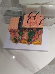 -康美贞·痘肌养护管理中心