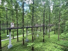 -黄海国家森林公园