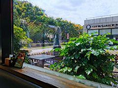 -翠花老菜饺子馆(七宝店)