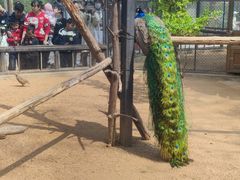 -石家庄市动物园