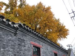 -丽江庭院之丽江往事(安定门店)