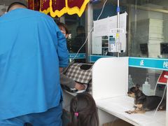-邢大夫动物医院