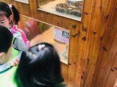 -上海大自然野生昆虫馆(东方明珠·爬宠昆虫探索中心)