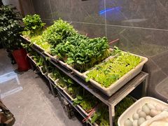 -老妈疙瘩汤·平价海鲜专门店·老威海菜(渔港路店)