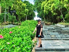 -深圳国际园林花卉博览园