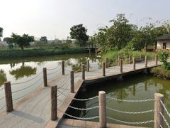 -海上田园