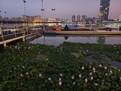 -无锡大剧院-售票中心