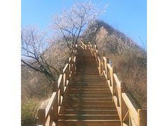 -大岭沟猕猴桃谷风景区