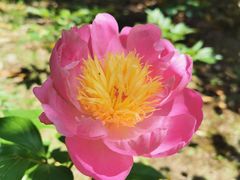 -上海滨江森林公园