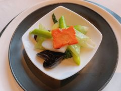 -三号黄浦会Canton Table