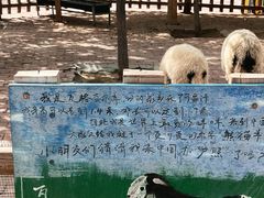 -水上乐园·欢乐世界