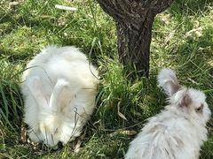 -鄂尔多斯野生动物园