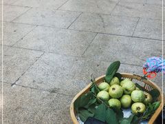 -新鸿港水果市场