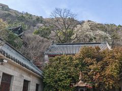 -青岛崂山太清宫