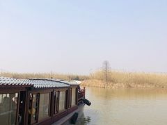 -宁波杭州湾国家湿地公园