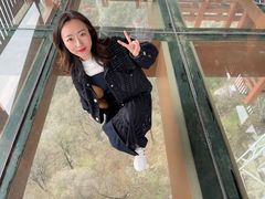 -少华山国家森林公园