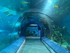 -福州罗源湾海洋世界旅游区