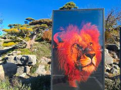 -罗红摄影艺术馆