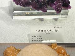 -湖南省地质博物馆