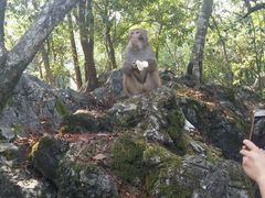 -千岛湖东南湖区