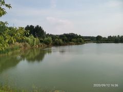 -淇河国家湿地公园