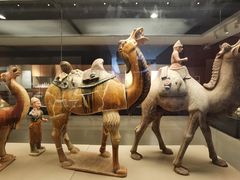 -西安大唐西市博物馆