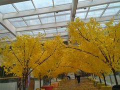 -义乌之心城市生活广场(新马路店)