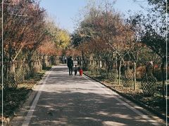 -武汉紫薇都市田园