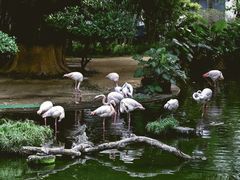 -九龙公园