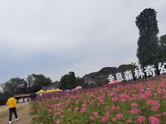 -秀丽东方