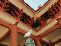 -雪峰寺