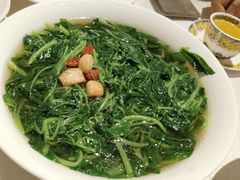 -南海渔村(珠江新城店)
