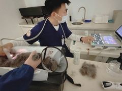 -奈斯宠物医院·核磁CT·异宠专科·内镜(中南店)