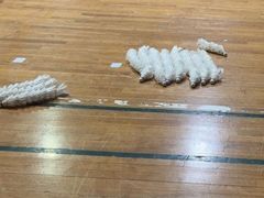 -沈坚强游泳俱乐部(武宁南路店)