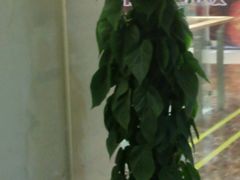 -沪上阿姨鲜果茶(华新大街店)