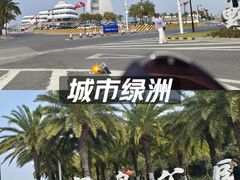 -野狸岛