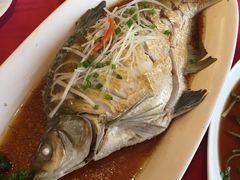 清蒸武昌鱼-田园小观园(武大店)