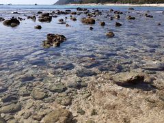 -半山半岛洲际度假酒店·观海廊