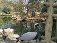 -石家庄市动物园