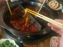 -大龙火锅(老店)