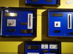 -上海昆虫博物馆