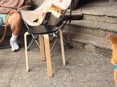 -HANA COFFEE(长寿路店)