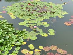 -国家植物园南园