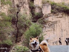 -龙门涧景区