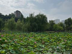 -沐仙湖湿地公园