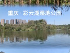 -重庆彩云湖湿地公园