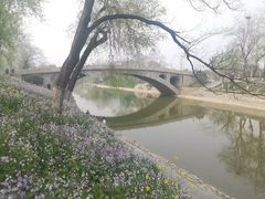 -赵州桥景区