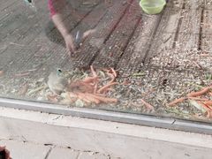 -北京鹿世界主题园